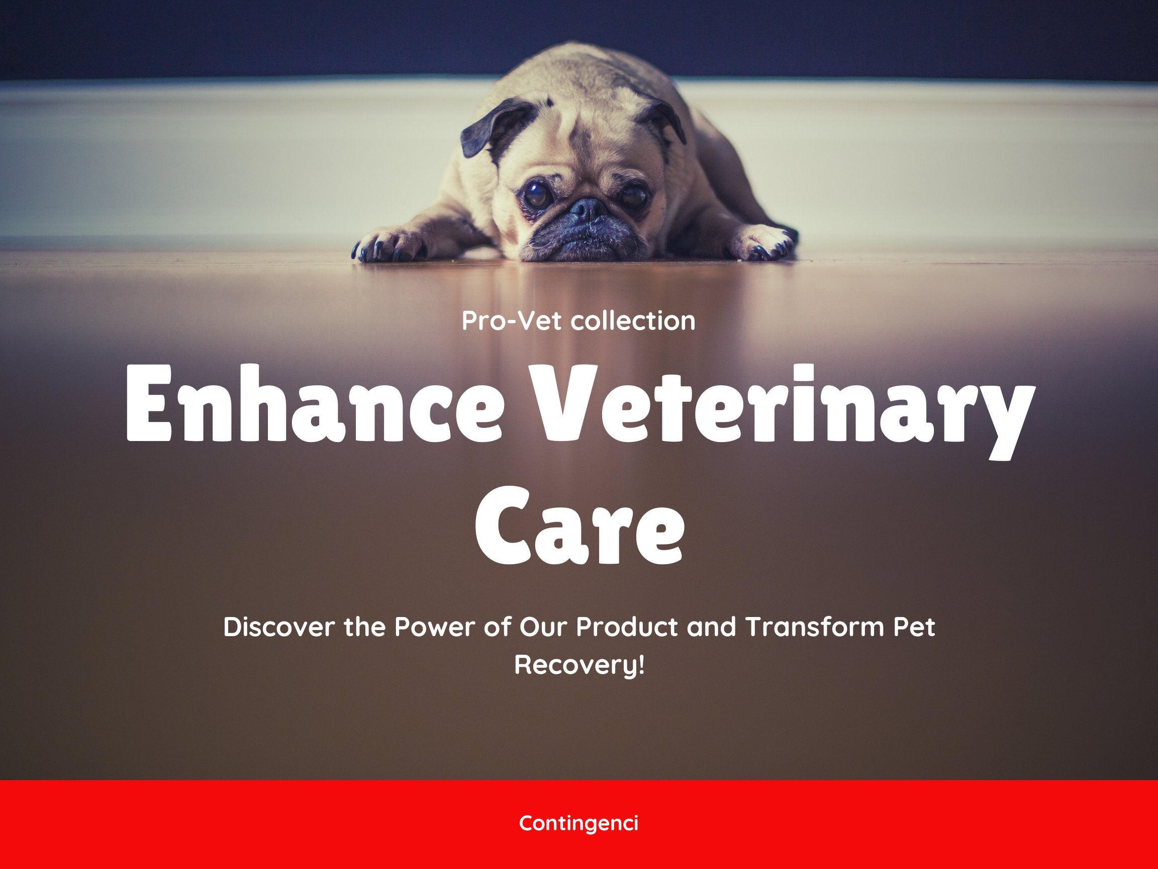 A Sustainable Path Forward to Revolutionize Veterinary Care - Contingenci Mask