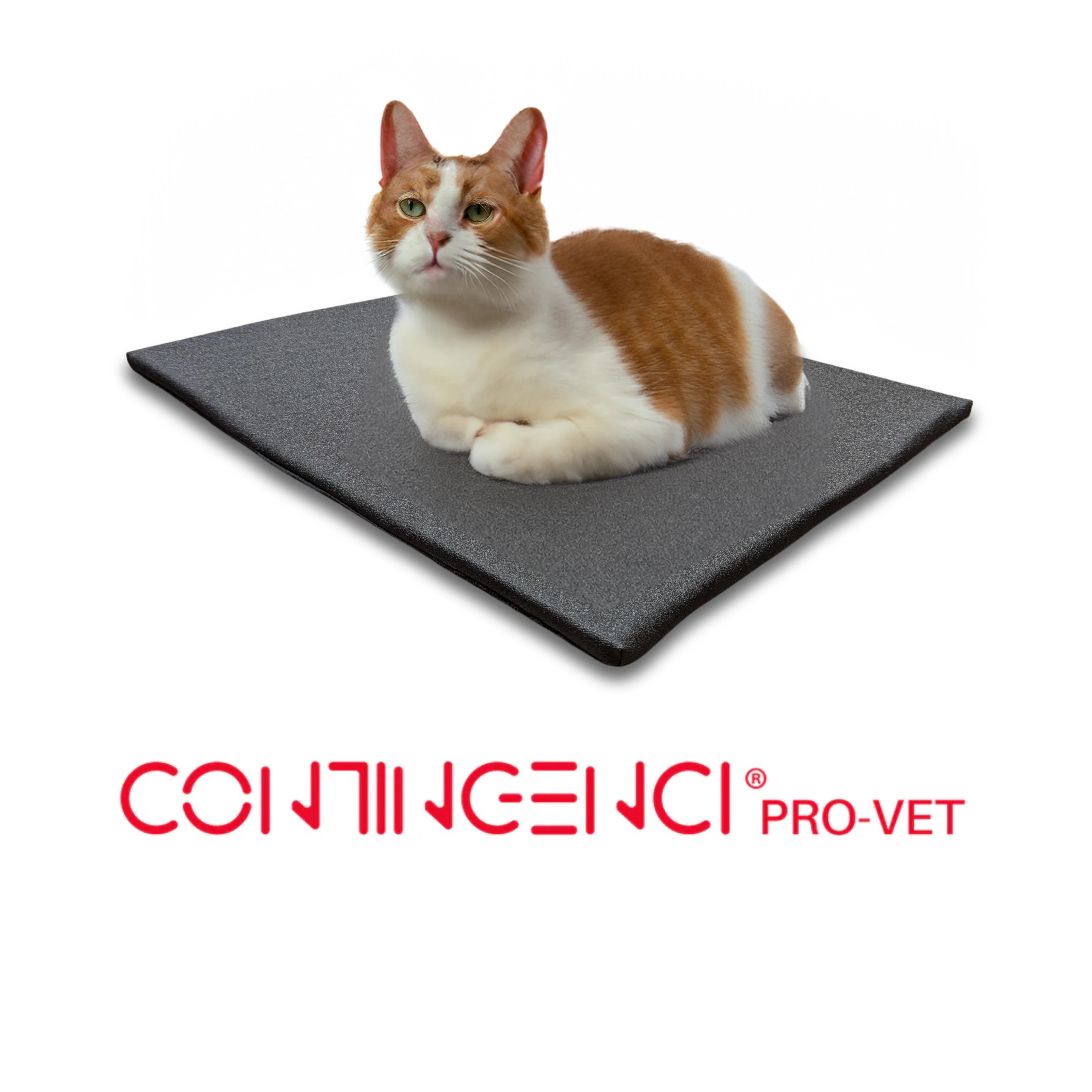 Scratch-Proof Vet Pad