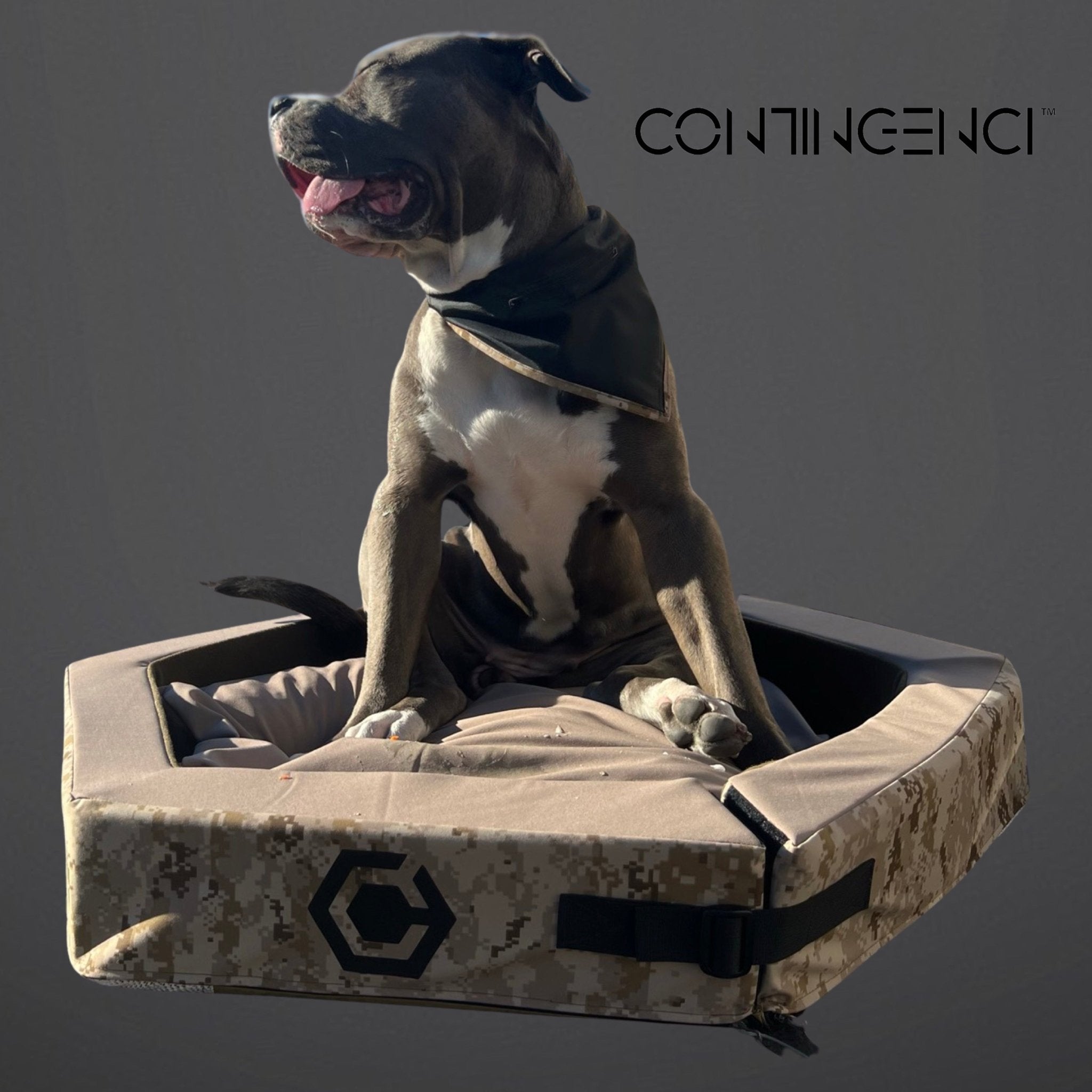 Hexagon "JAX" Foldable Pet Bed *PREORDER* - Contingenci Mask